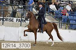12r14_3700 proof