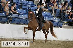 12r14_3701 proof