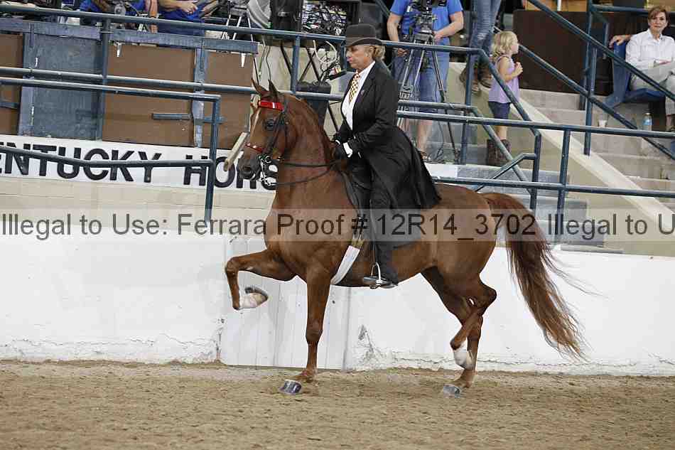Proof 12r14_3702