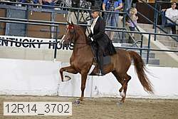 12r14_3702 proof