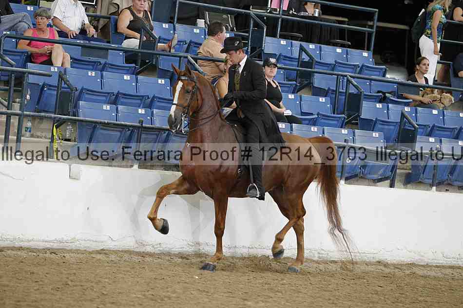 Proof 12r14_3703