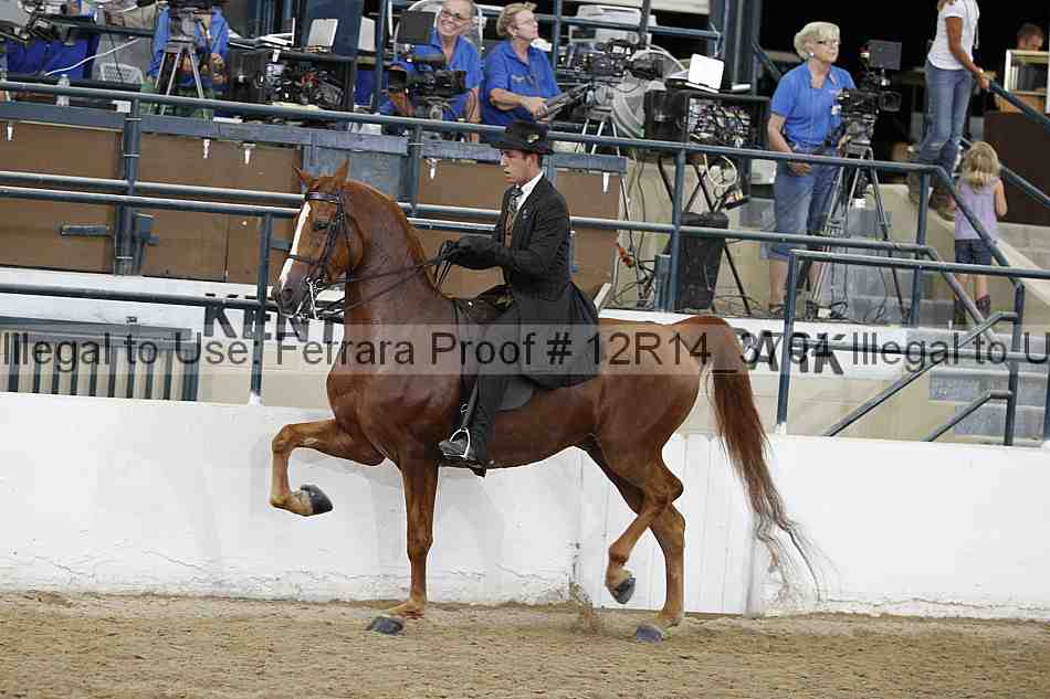 Proof 12r14_3704