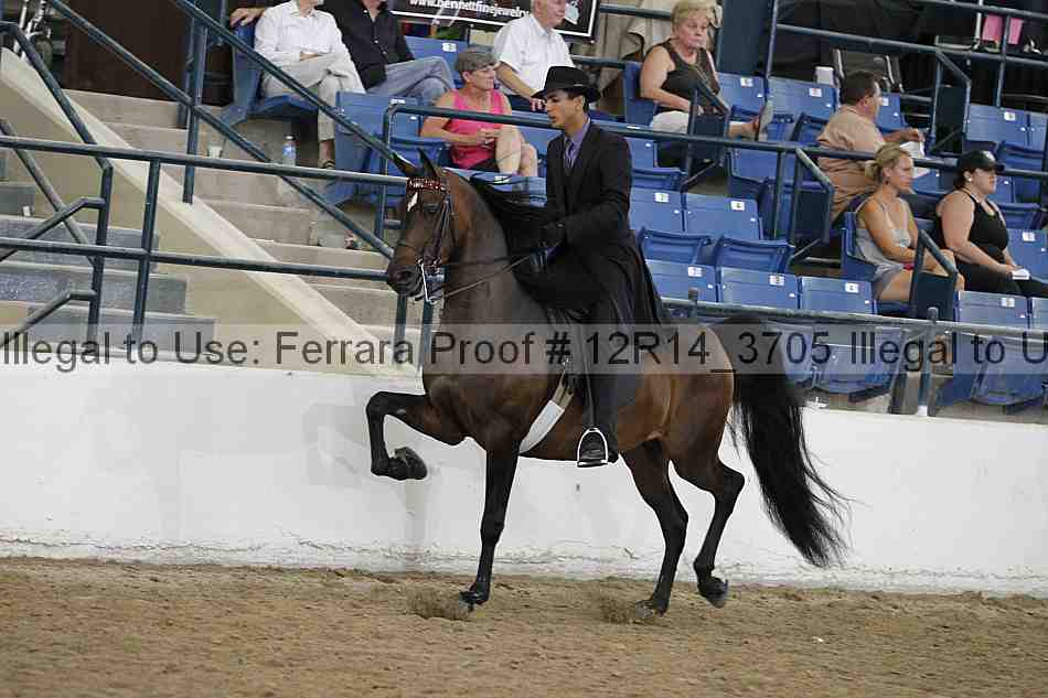 Proof 12r14_3705