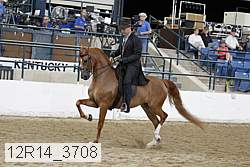 12r14_3708 proof