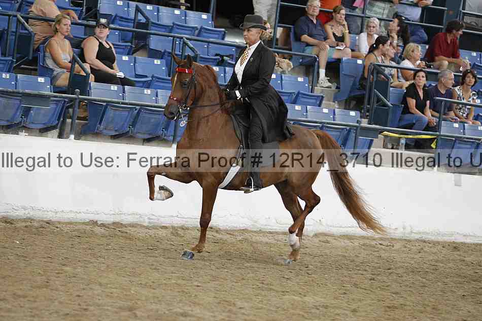 Proof 12r14_3710