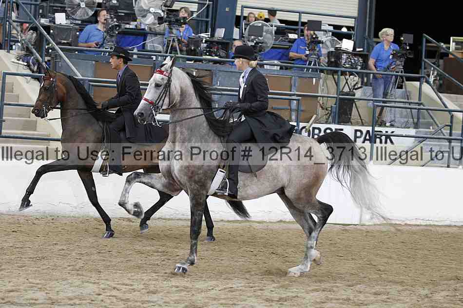 Proof 12r14_3713