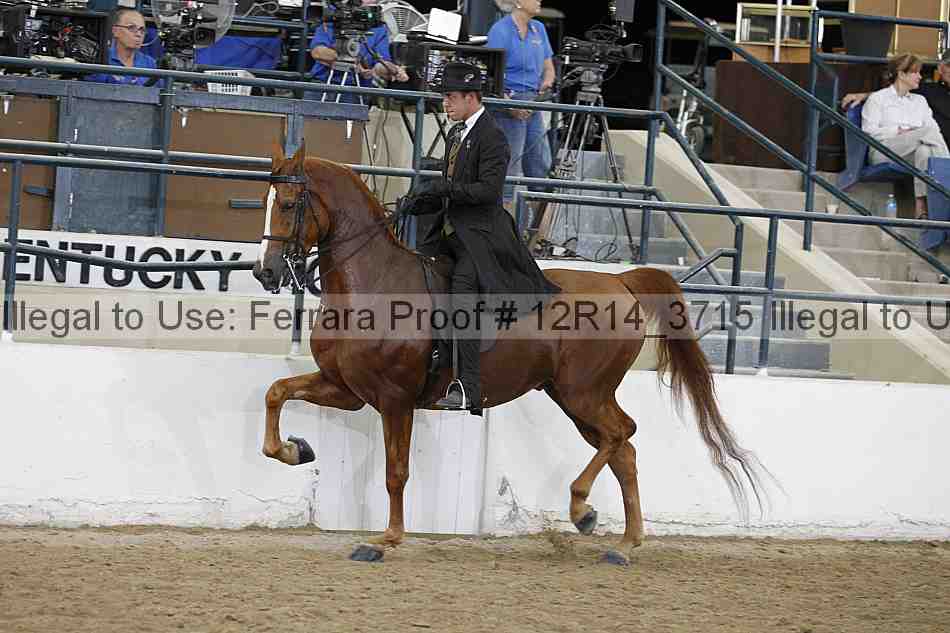 Proof 12r14_3715