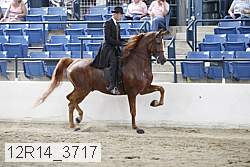 12r14_3717 proof