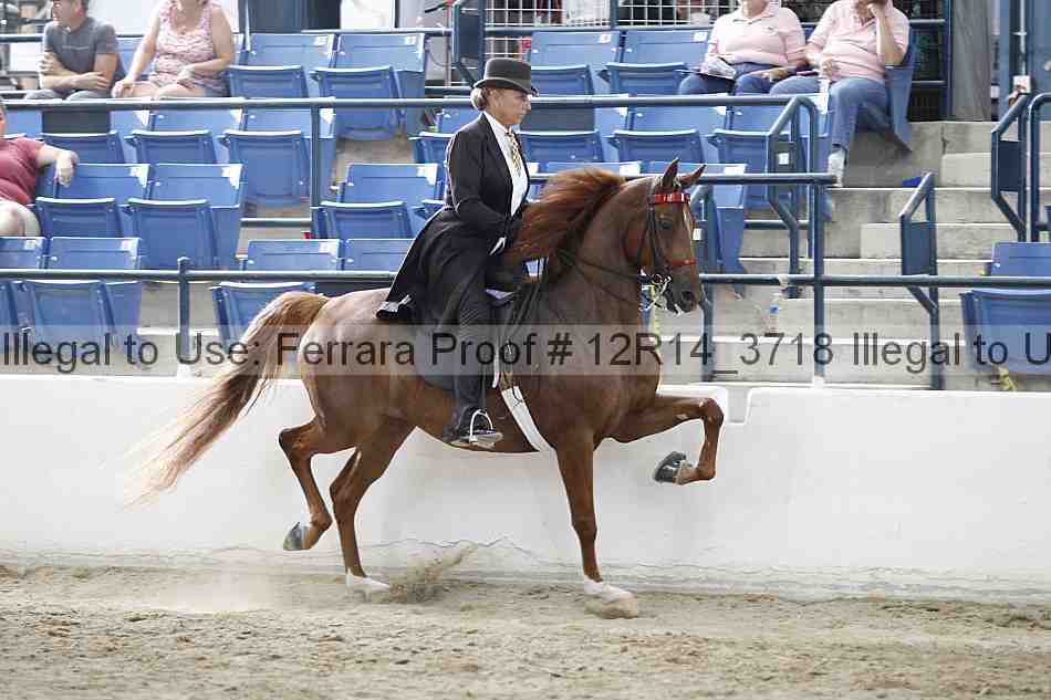 Proof 12r14_3718
