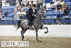 12r14_3719 proof