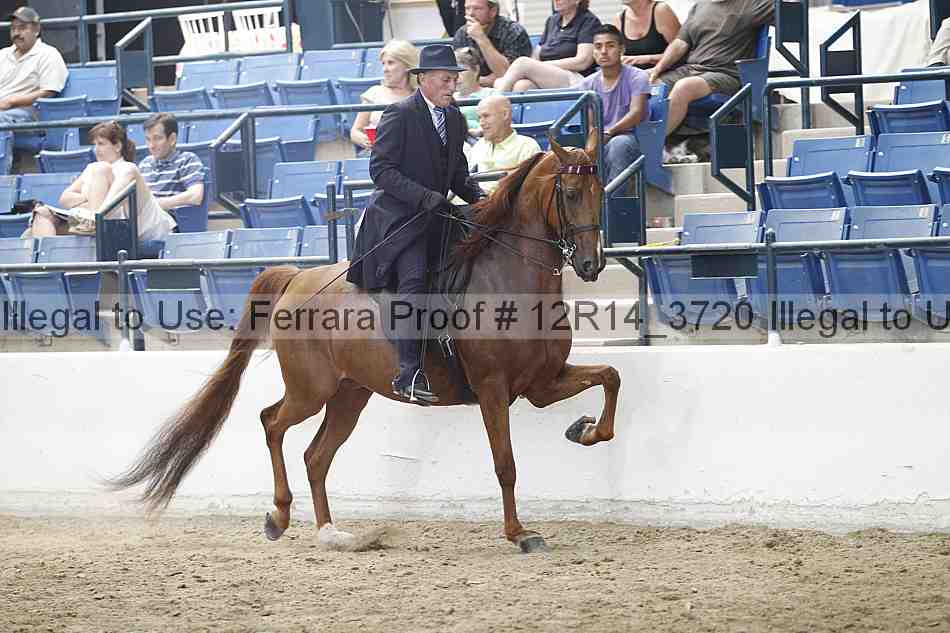 Proof 12r14_3720