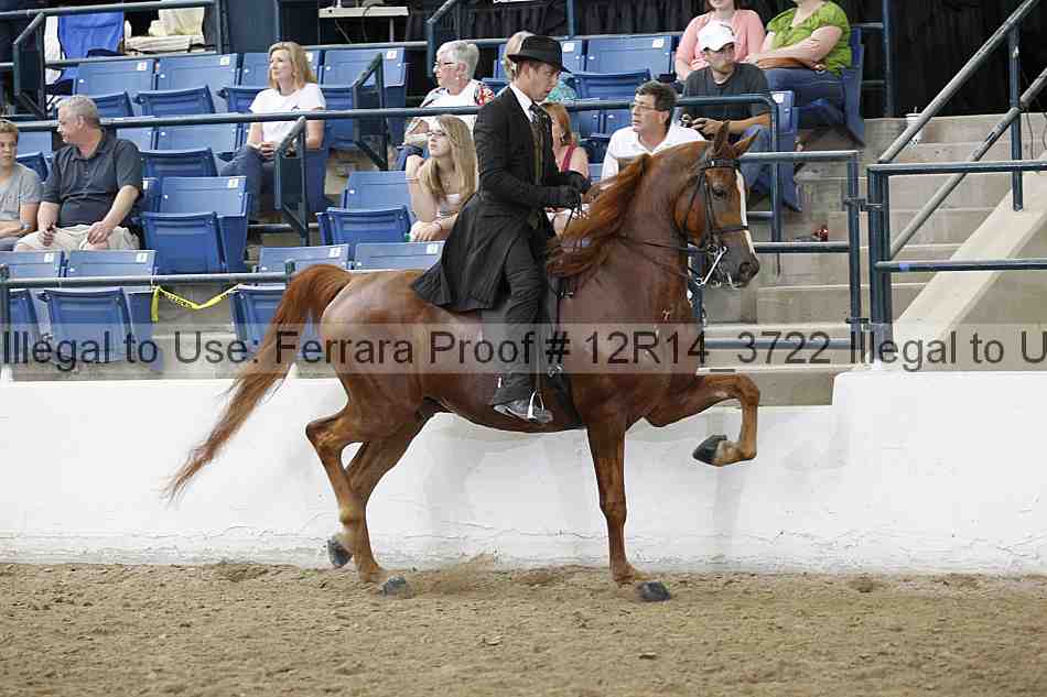 Proof 12r14_3722