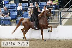 12r14_3722 proof