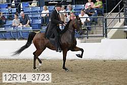 12r14_3723 proof