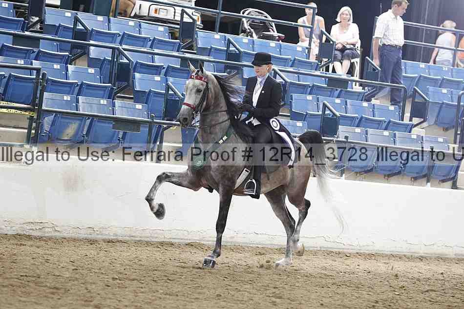 Proof 12r14_3728