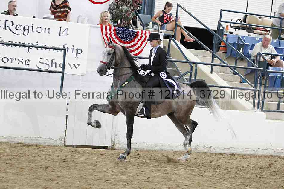 Proof 12r14_3729