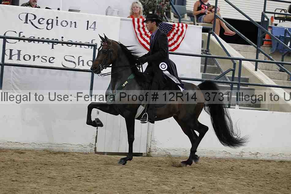 Proof 12r14_3731