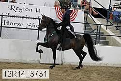 12r14_3731 proof