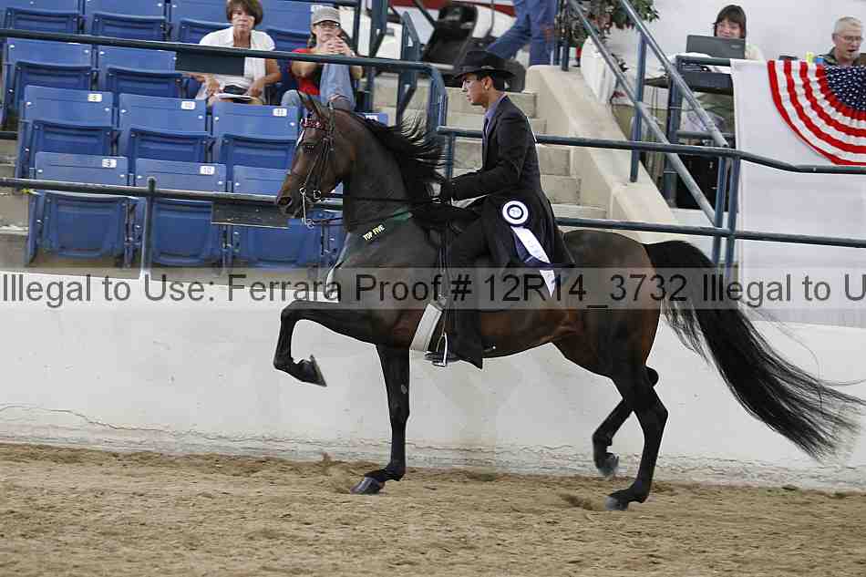 Proof 12r14_3732