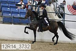 12r14_3732 proof