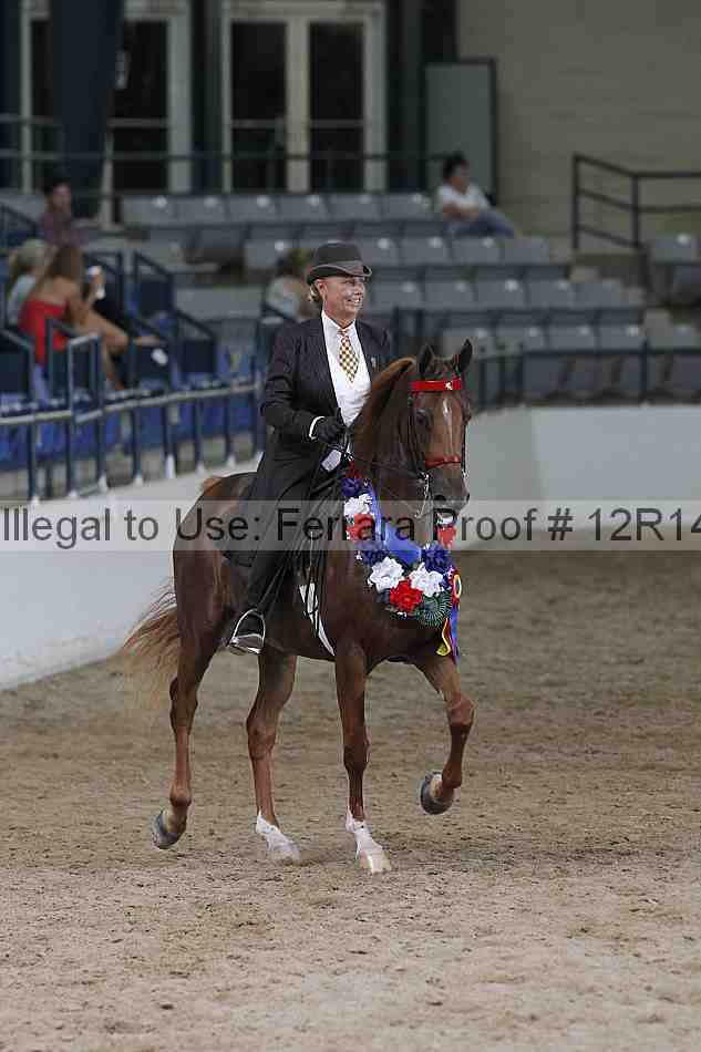 Proof 12r14_3733