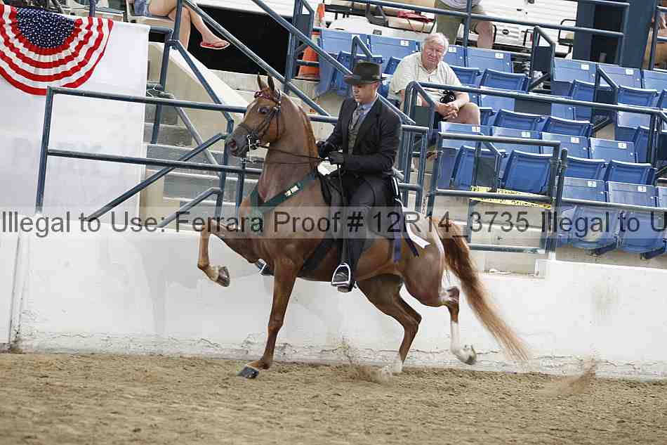 Proof 12r14_3735