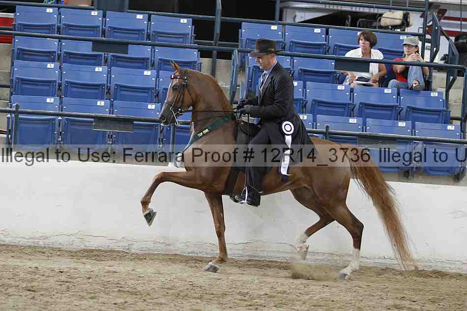 Proof 12r14_3736