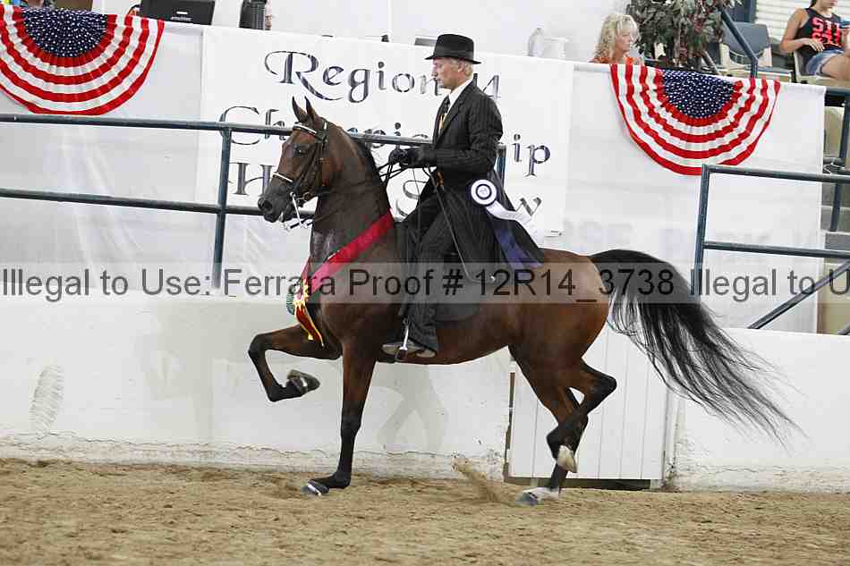 Proof 12r14_3738