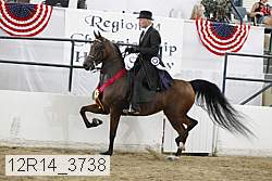 12r14_3738 proof