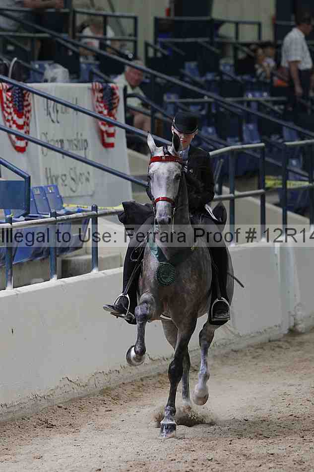 Proof 12r14_3739