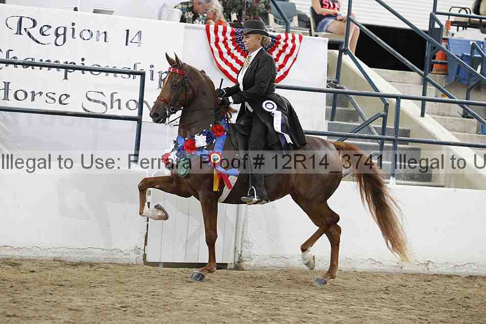 Proof 12r14_3741