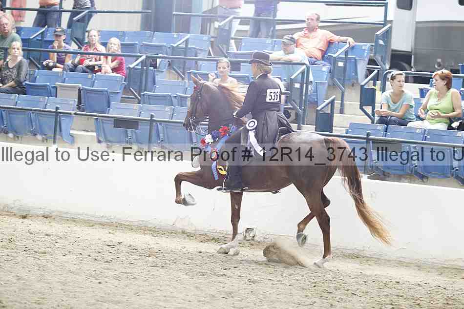 Proof 12r14_3743