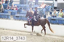 12r14_3743 proof