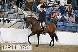 12r14_3752 proof