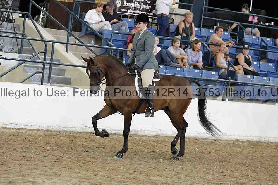 Proof 12r14_3753
