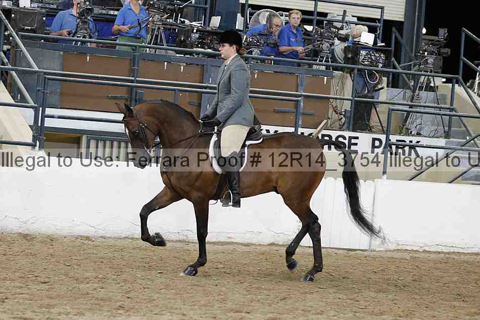 Proof 12r14_3754