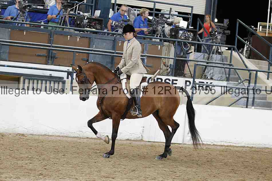 Proof 12r14_3755