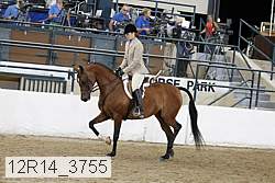 12r14_3755 proof
