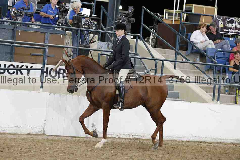 Proof 12r14_3756