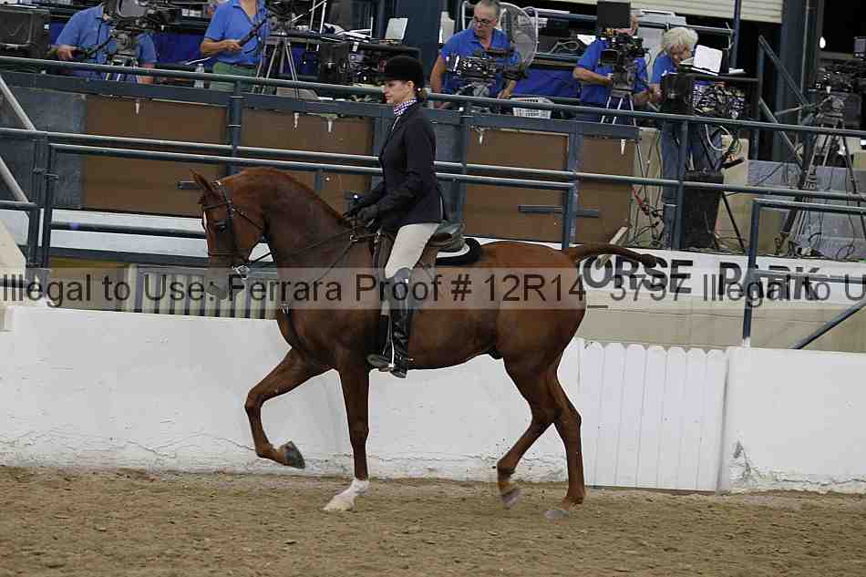 Proof 12r14_3757