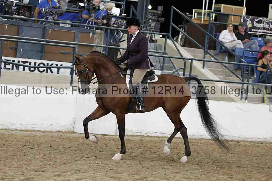 Proof 12r14_3758