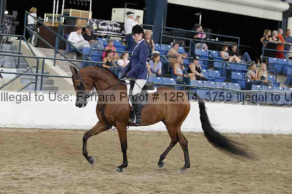 Proof 12r14_3759