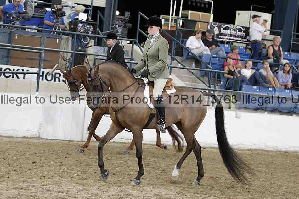 Proof 12r14_3763