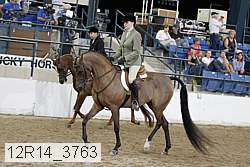 12r14_3763 proof