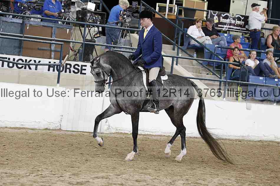 Proof 12r14_3765
