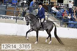 12r14_3765 proof