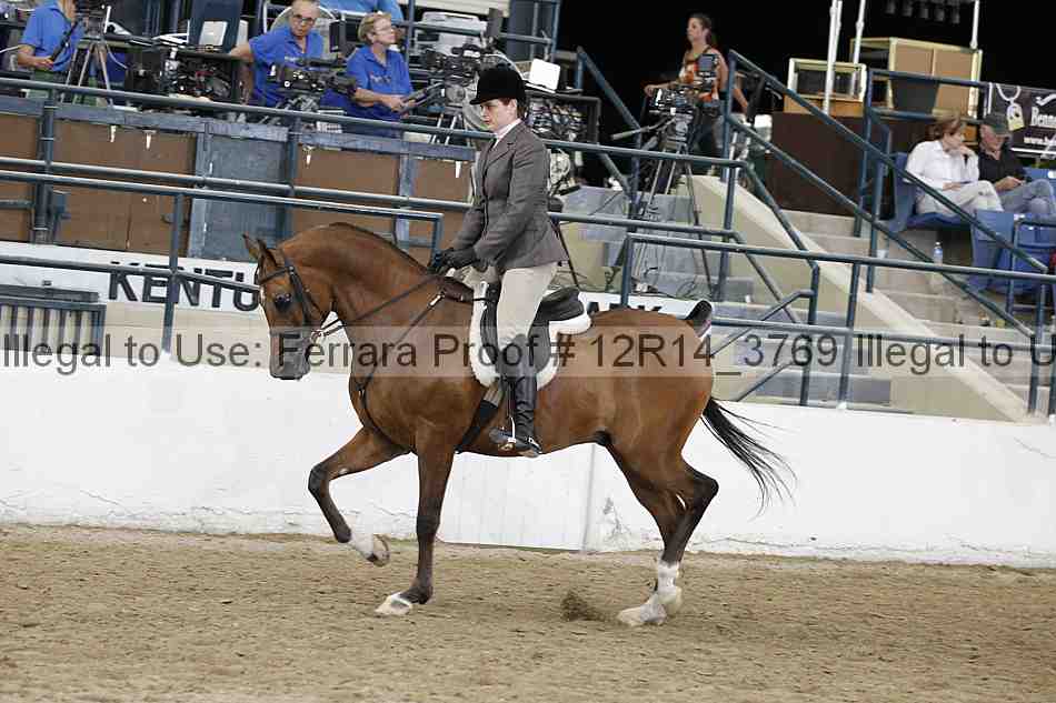 Proof 12r14_3769