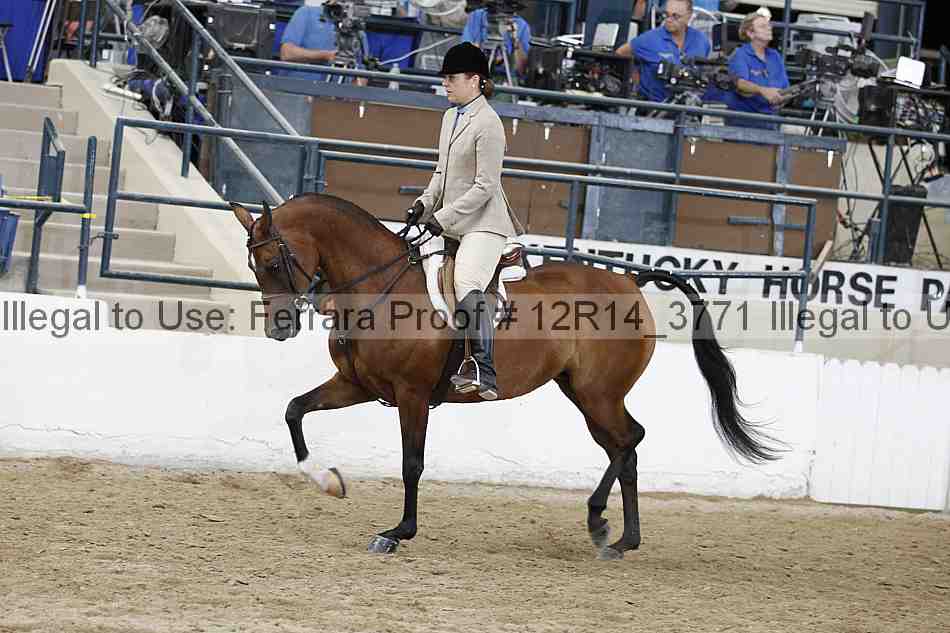 Proof 12r14_3771