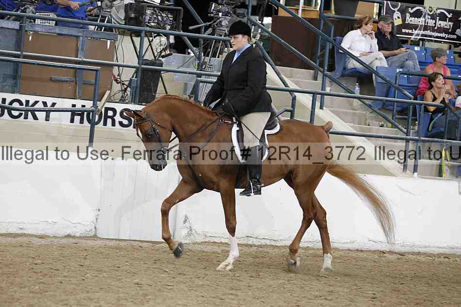 Proof 12r14_3772