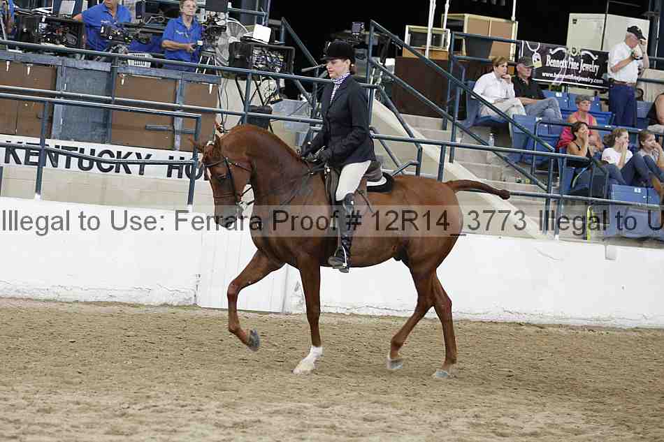 Proof 12r14_3773